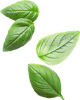 Green Berry Toast