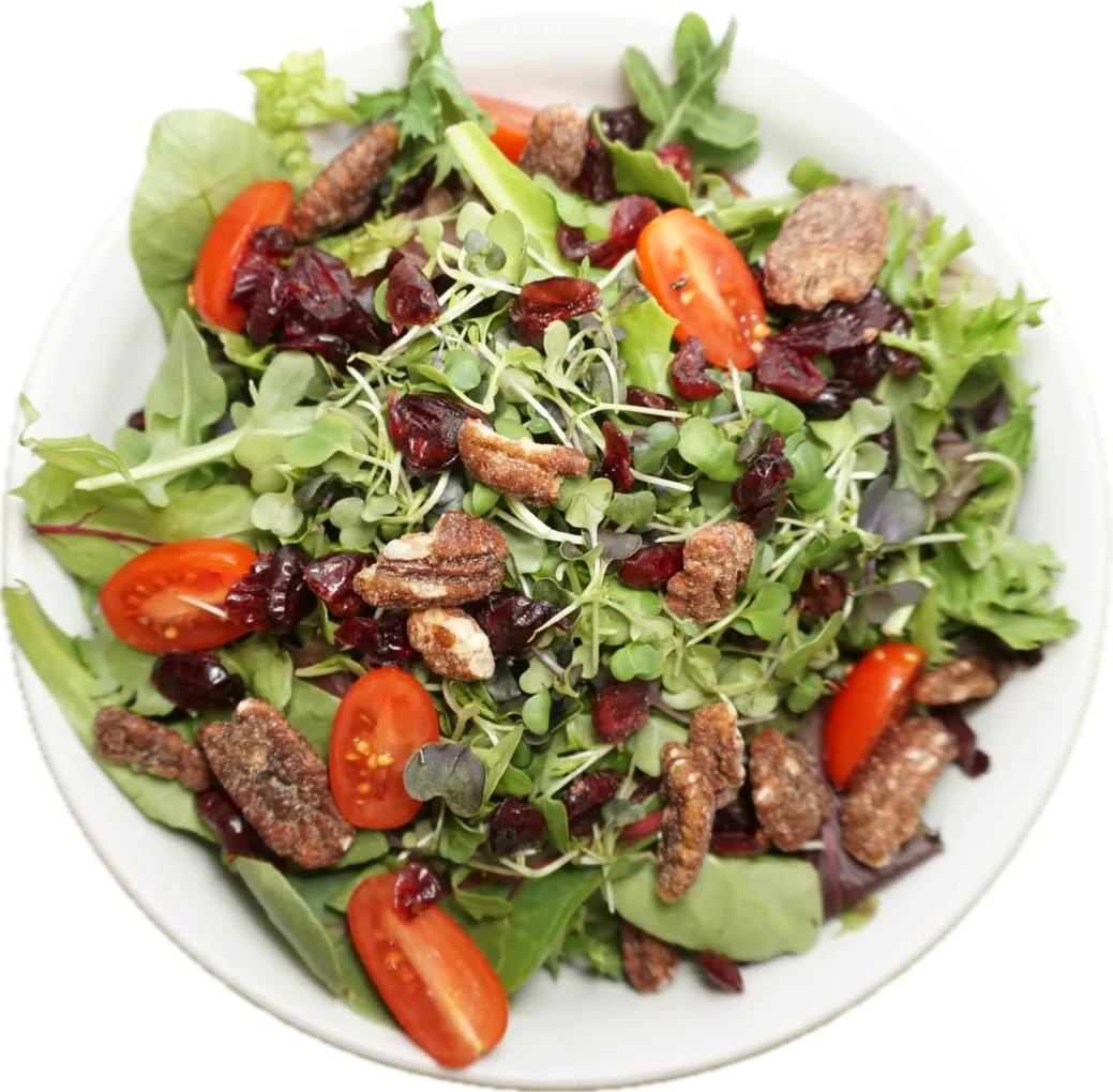 Cranberry Chicky