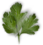 Green Berry Toast